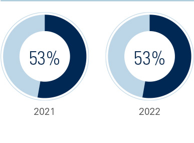 Chart of MINORITIES in Entire Workforce